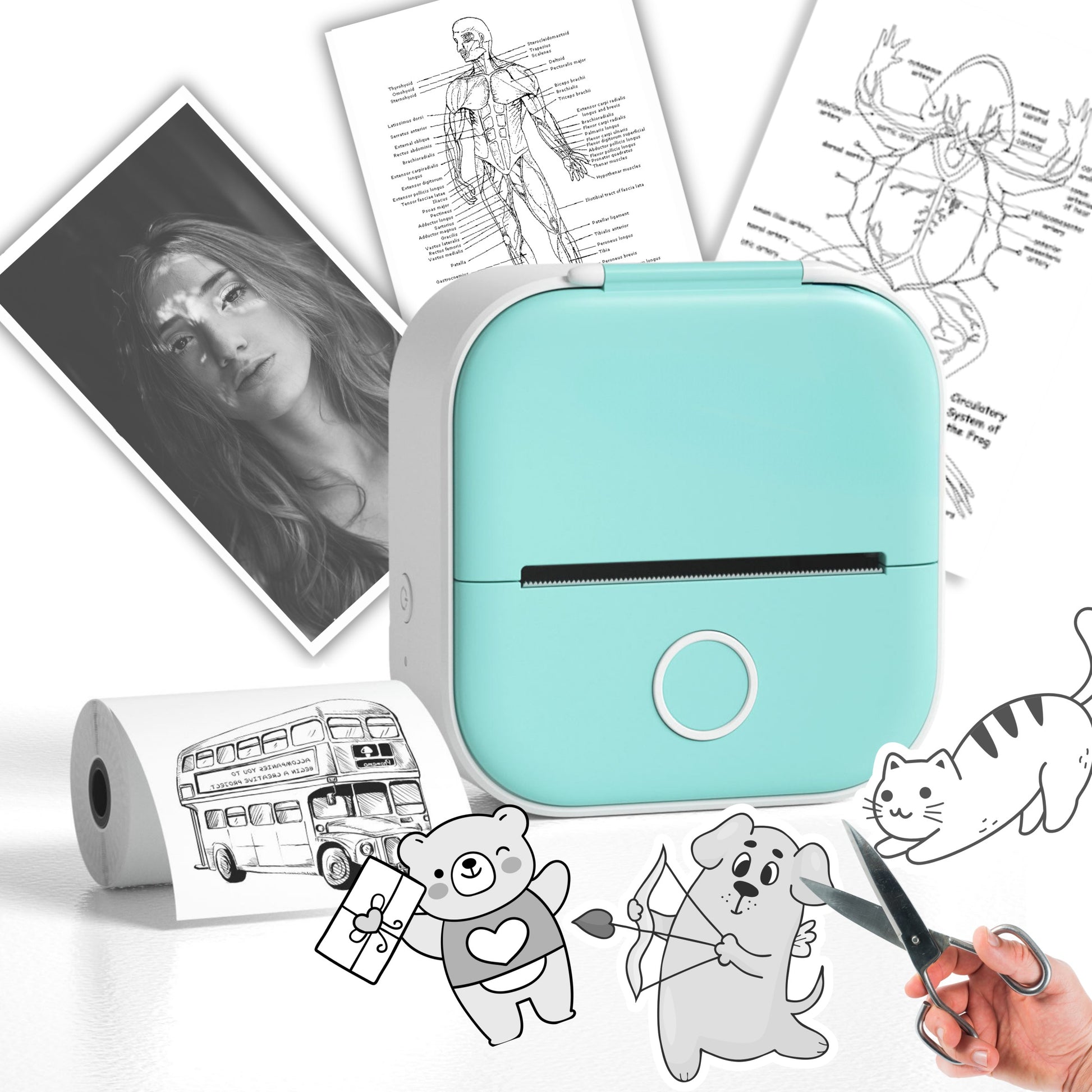 EazeGear T02: Portable Bluetooth Inkless Label Sticker Printer - Eaze Gear